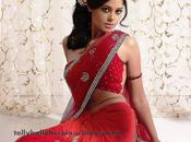 Bindhu Madhavi Collection