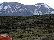 Adventure Travel Opportunity: Mountain Biking Down Kilimanjaro