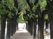 Journey Along Loire Valley Castles, France