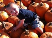 #To-Do #DFW: Enjoy Fall with Celebrate #Roanoke, Autumn #Arboretum, Flower Mound #Pumpkin Patch