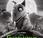 Frankenweenie [2012]