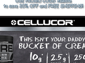 Cellucor Creatine Review