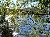 Coming Citalopram Crying Car...