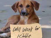 Unemployment Hits Class: DOGS BEING LAID OFF!