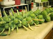 Alien Vegetable (Brussels Sprouts)
