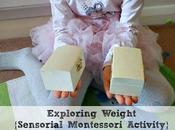 Exploring Weight {Sensorial Montessori Activity}