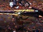 Hook: Most Damage Seems Internal. Flooded...