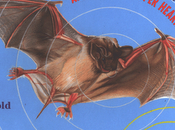 Going "Batty": Activity