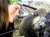 Antarctica 2012 Update: Aaron Struggles, Babes Near