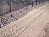 Black Cat. Atlantic City. Makes Photograph Seem Much More...