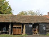 Buying Local Seasonal Produce Maple Farm