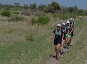 Wraps Expedition Africa