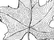 Line Pattern Leaf