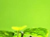 Invitation Your Beginning