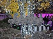 Feel Frost Air? Starts Nov.