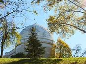 Observatory Hill Observations