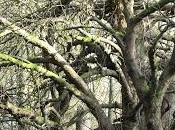 Trouble Doorstep: What Would