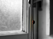 Photo Challenge~Days