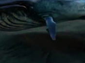 Rutger Hauer Featured Short Film Denouncing Whaling