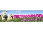 Pets Praises Blogging Competition!