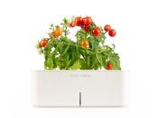 Click&Grow;: High-Tech Growing Your Vegetables