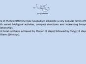 Mulvember Lycoflexine