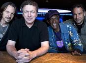 Steve Kimock: Three Shows Japan