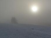 Strange Encounter Mist...