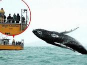Missing Point