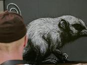 Healesville Sanctuary, Melbourne, Australia