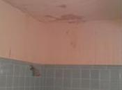 Painting Bathroom