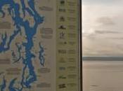 Salmon Managing Complexity