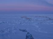 Dark Project: Laying Foundation