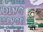 2013 Pile Reading Challenge Sign