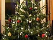 Latest Christmas Tree Decorations 2012 Pulchritudinous Yuletide Ornamentation Thoughts