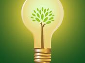 Going Green with Your Business