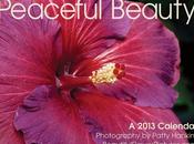 Year Special 2013 Peaceful Beauty Calendar