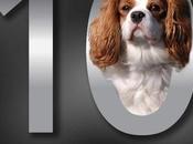 Most EXPENSIVE Breeds!