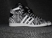 Zebra Kicks