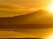 Help EpicTV Select Their Adventurer Year