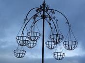 4/365 Hunting Colour