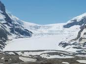 Trip Columbia Icefields from Lake Louise