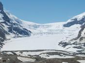 Trip Columbia Icefields from Lake Louise