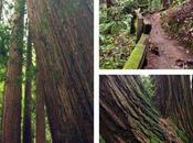 Tidbit from Miss Golightly