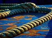 Guest Post: Learning Ropes: Perspectives from Newbie
