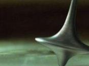 Been, Still, Worthwhile, Mike?