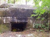 Images Decaying World Bunkers Netherlands, France Belgium