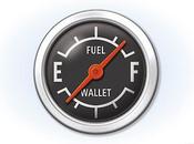 User-Friendly Fuel Economy Labels 2013 Cars