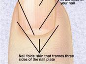 Nails: Keep Your Fingernails Healthy Strong