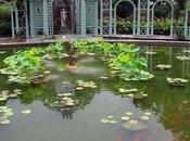 Reflections Westbury Gardens